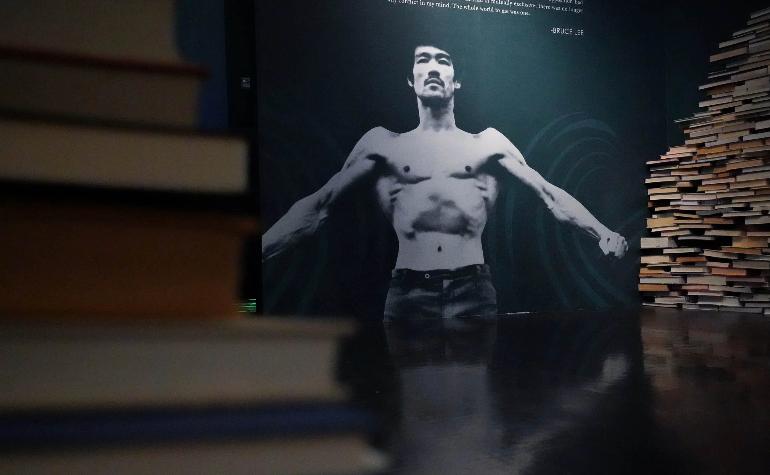 Bruce lee action deals museum